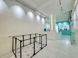 Joo Chiat Road (D15), Shop House #549980891
